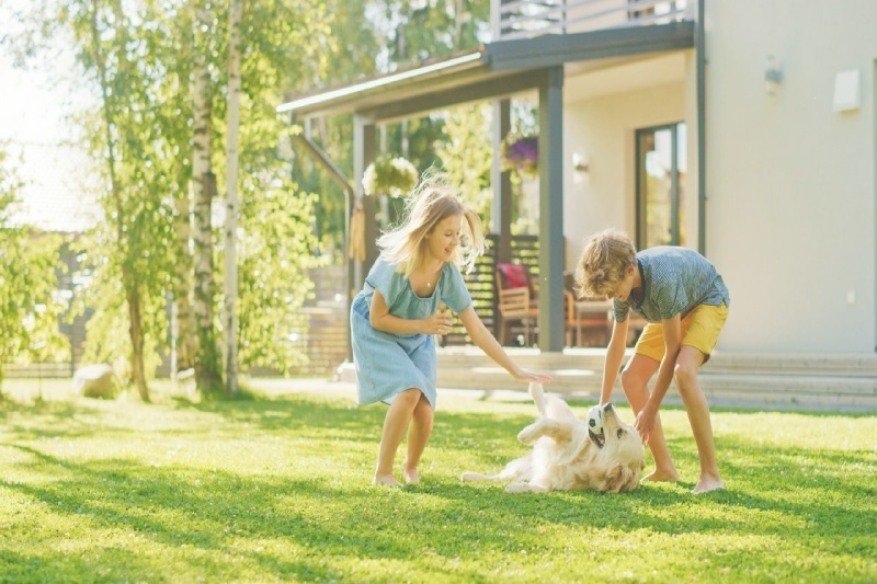 dzieci bawiące się z psem przed domem