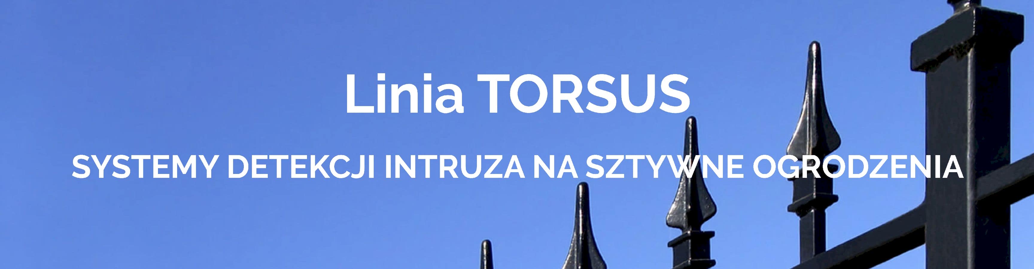 Torsus